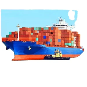 Sea Shipping Service From China to Brazil Featuring LCL+Trucking Excellent DDP Door-to-Door